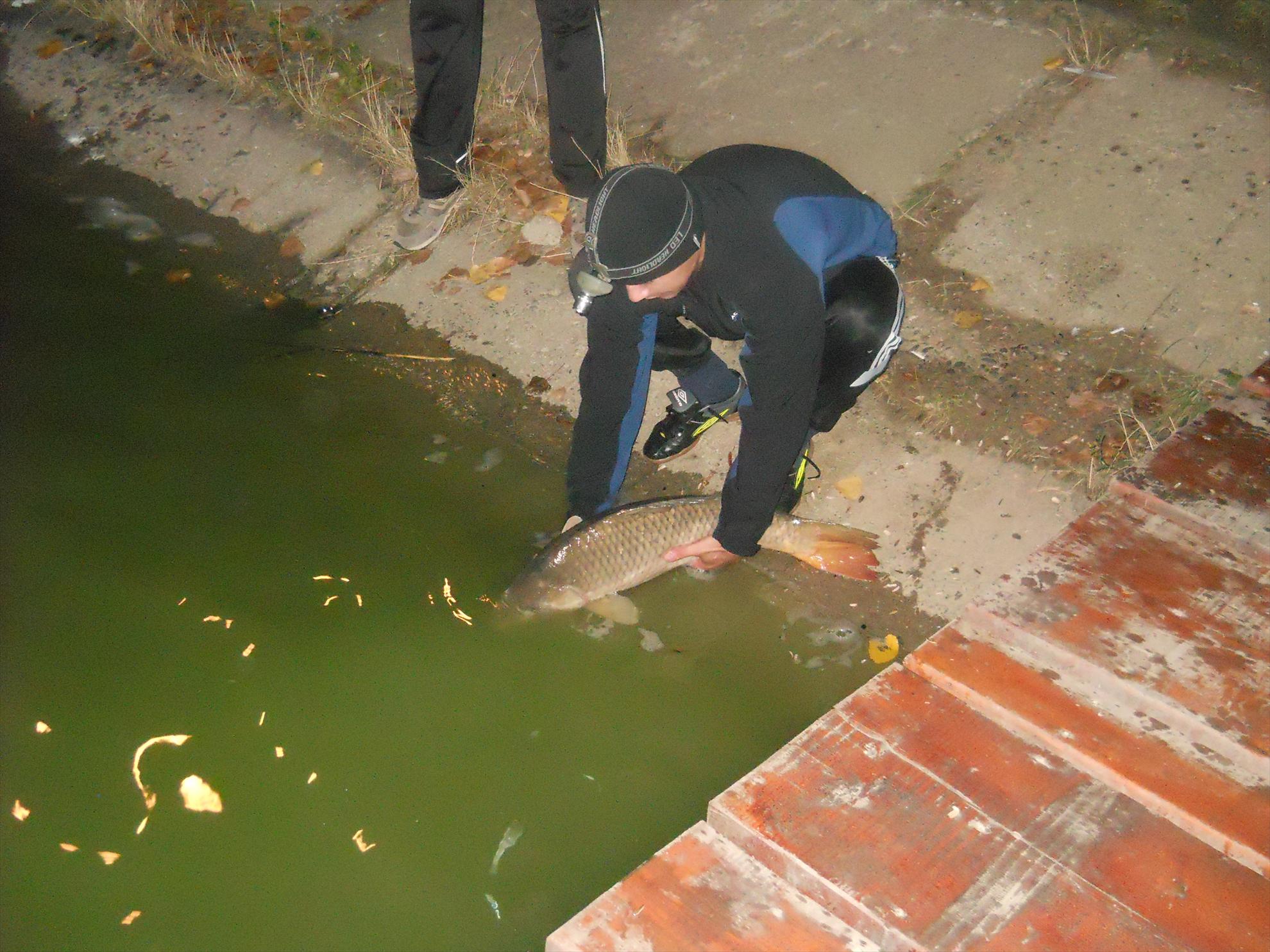 Pleasa 2012 - dscn1045.JPG